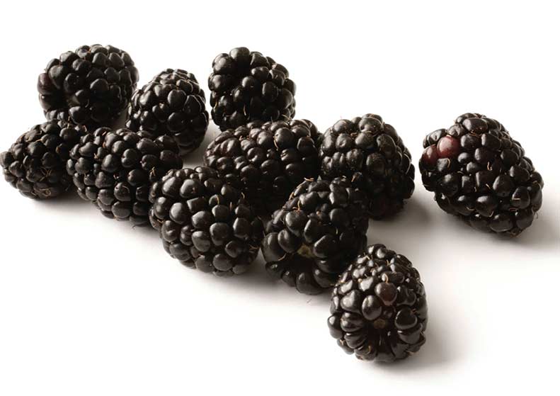 Blackberries on a white background
