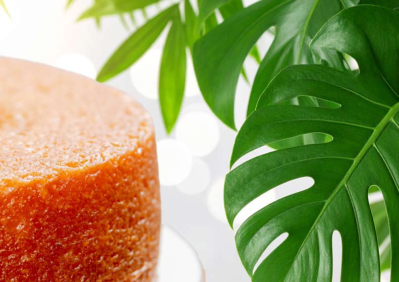 Close-up of a rum cake with green leaves in the background