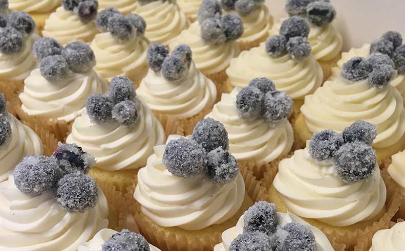 Cupcakes with white frosting and blueberry toppings arranged in a row.