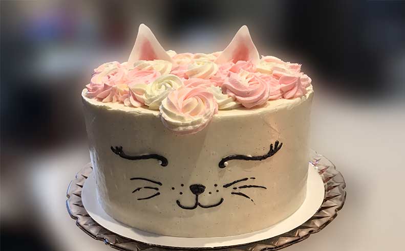 Cat-shaped cake with pink and white frosting on a blurred background